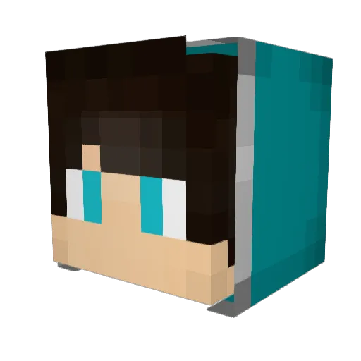 JHReeve Minecraft avatar head, 3D render
