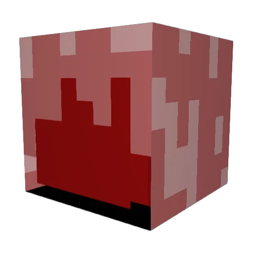 JH_Gamer9290 Minecraft avatar head, 3D render