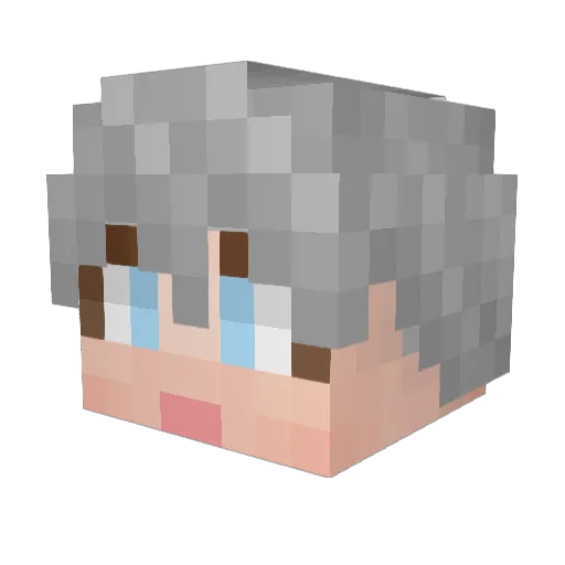 JH_Whale Minecraft avatar head, 3D render