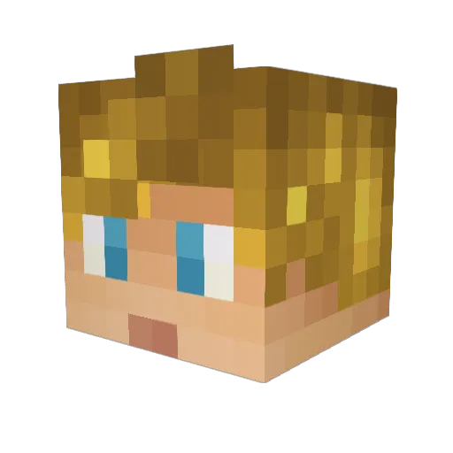JHall73 Minecraft avatar head, 3D render