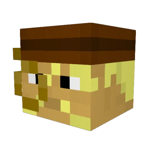 JHawk4 Minecraft avatar head, 3D render