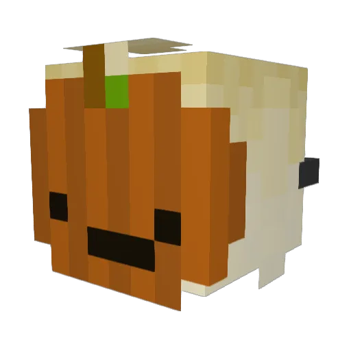 JHondGames19 Minecraft avatar head, 3D render