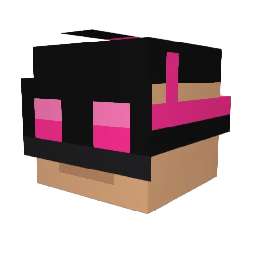 JHowe19 Minecraft avatar head, 3D render