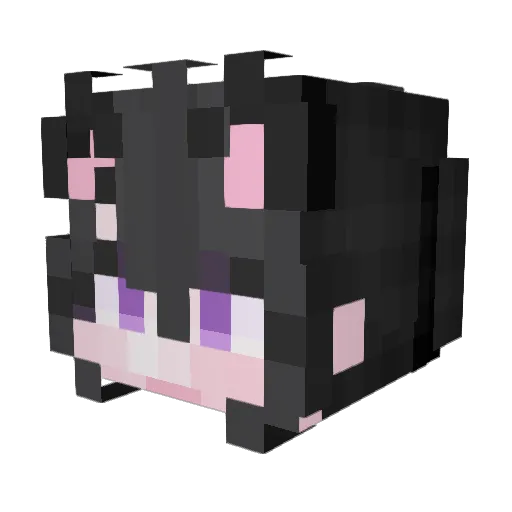 JI0_0 Minecraft avatar head, 3D render