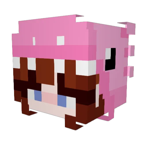JIANAhot Minecraft avatar head, 3D render