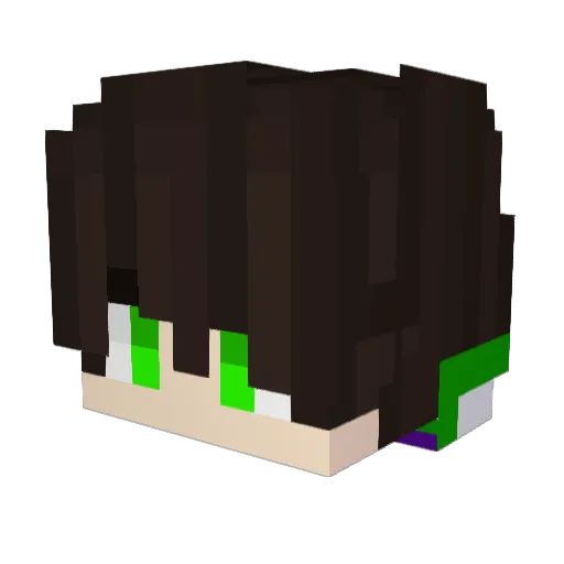 JIDS02 Minecraft avatar head, 3D render