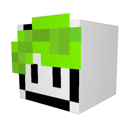 JIMMYDEAN122 Minecraft avatar head, 3D render