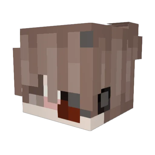 JIMONAUT Minecraft avatar head, 3D render