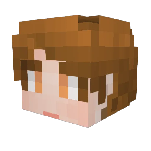 JINWOO0513 Minecraft avatar head, 3D render