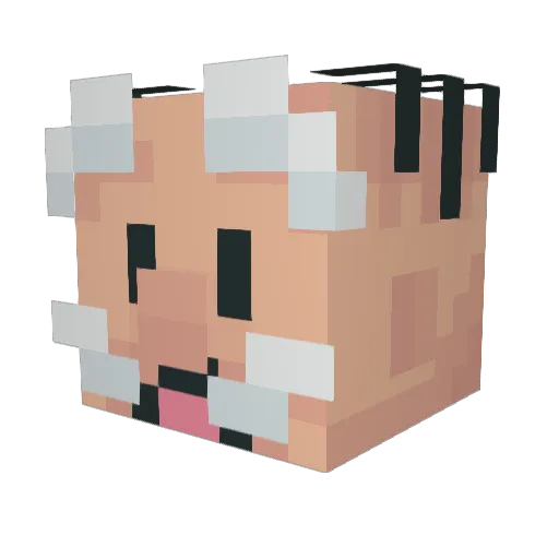 JIO3218 Minecraft avatar head, 3D render