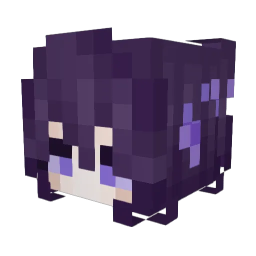 JIU_JIU99 Minecraft avatar head, 3D render