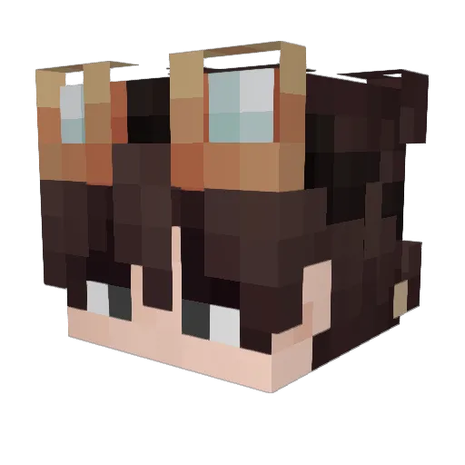 JIYUANLI Minecraft avatar head, 3D render