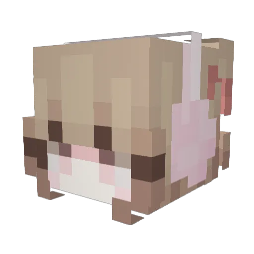 JIangQ5 Minecraft avatar head, 3D render