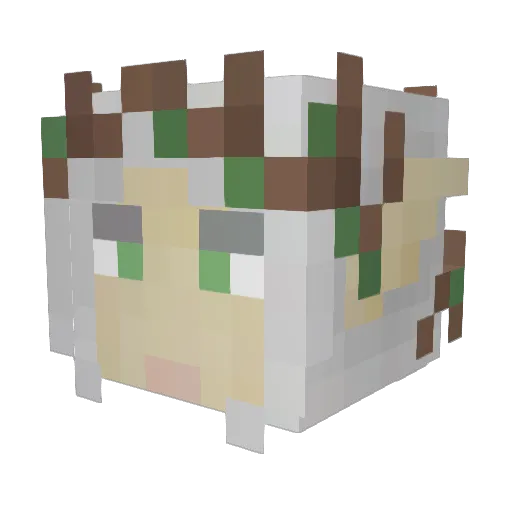 JJAYJOKER53 Minecraft avatar head, 3D render