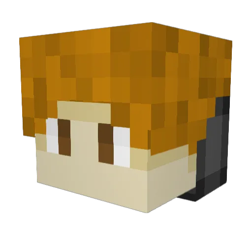 JJC0704 Minecraft avatar head, 3D render