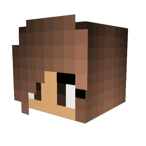 JJC_0 Minecraft avatar head, 3D render
