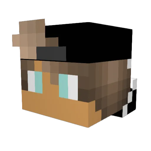 JJMaster336 Minecraft avatar head, 3D render