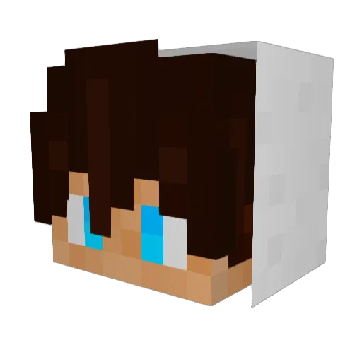JJR11 Minecraft avatar head, 3D render