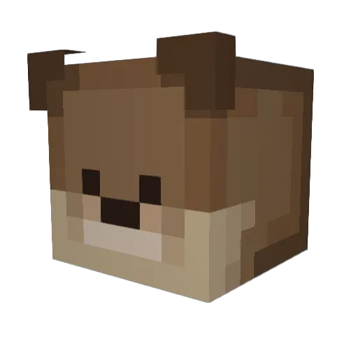 JJTheOtter13 Minecraft avatar head, 3D render