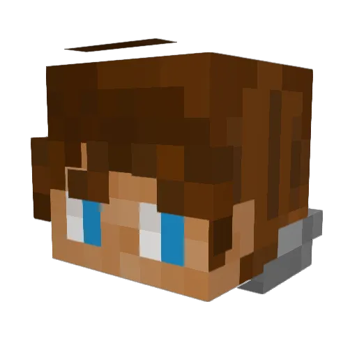 JJWoods13 Minecraft avatar head, 3D render
