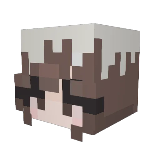 JJ_Wiggles Minecraft avatar head, 3D render