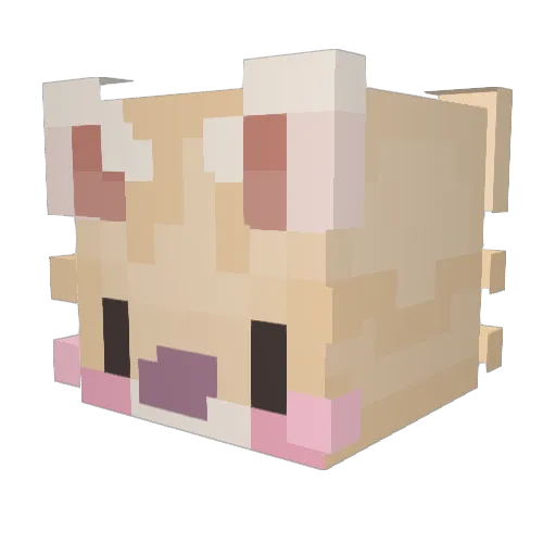 JJ_fan Minecraft avatar head, 3D render