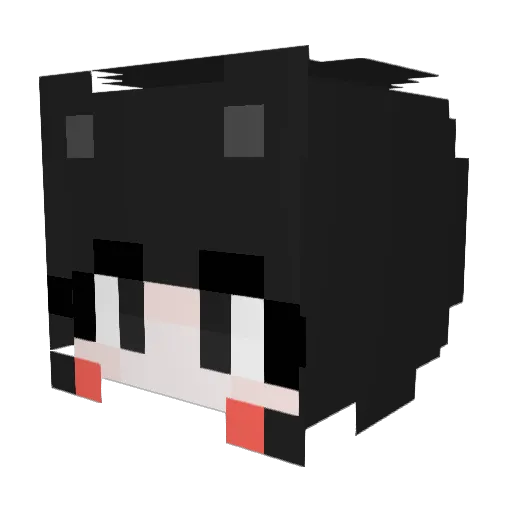 JJaNyang2 Minecraft avatar head, 3D render