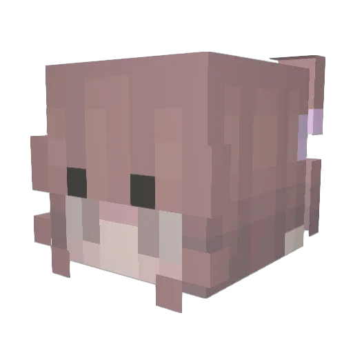 JJiJJu Minecraft avatar head, 3D render