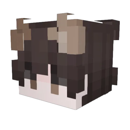 JJung_E2 Minecraft avatar head, 3D render