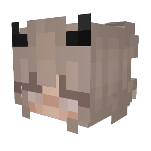 JK1N6 Minecraft avatar head, 3D render