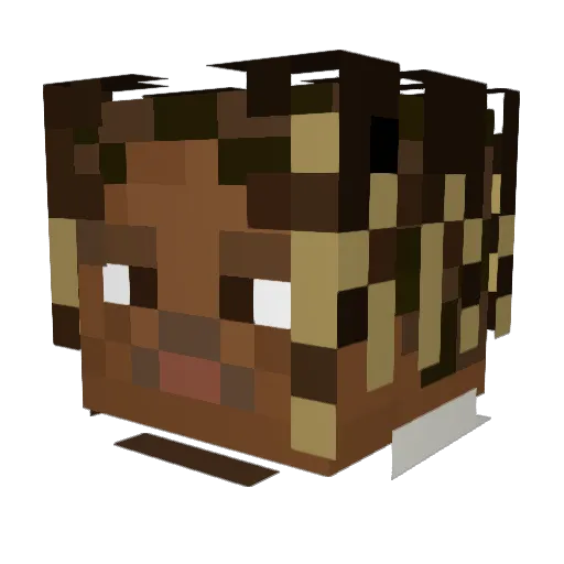 JKD_02 Minecraft avatar head, 3D render