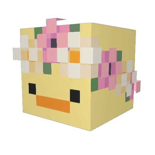 JKplusJIMIN Minecraft avatar head, 3D render