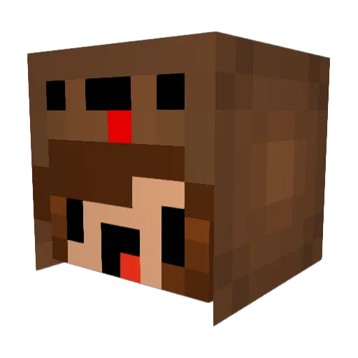 JLN1 Minecraft avatar head, 3D render