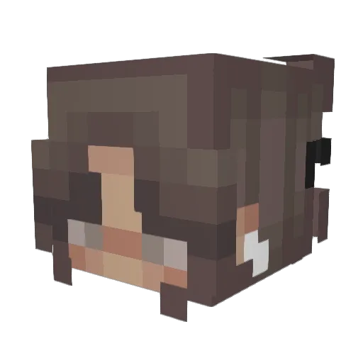 JLNighTix Minecraft avatar head, 3D render