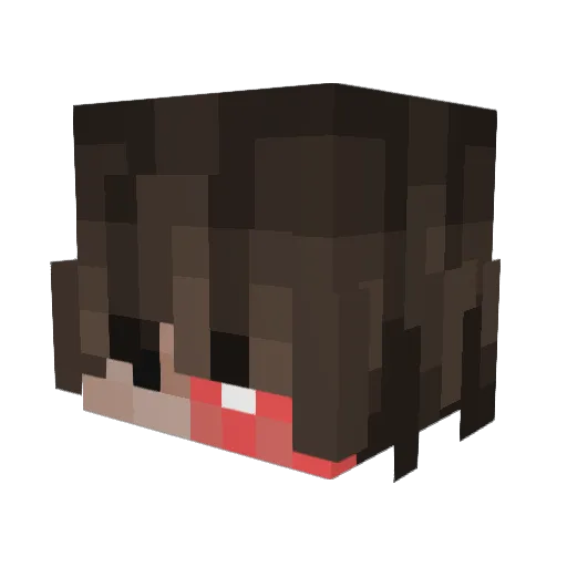 JLTV Minecraft avatar head, 3D render