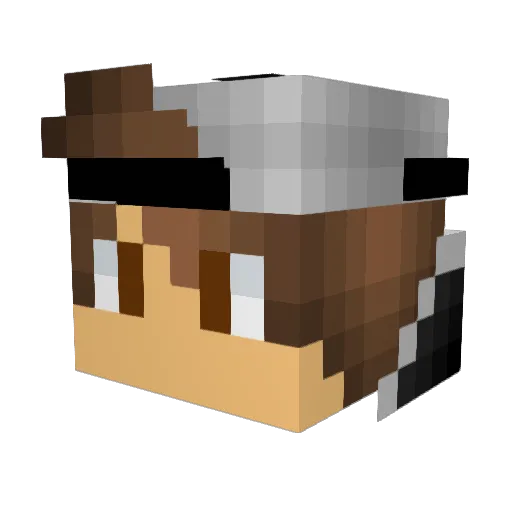 JLamb31121 Minecraft avatar head, 3D render