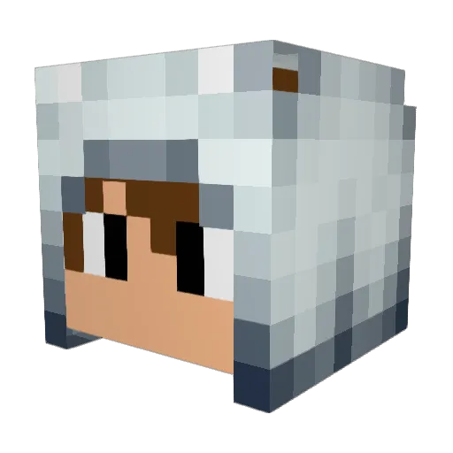 JMB911 Minecraft avatar head, 3D render