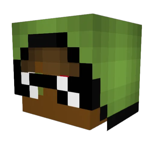 JMGAMER08 Minecraft avatar head, 3D render