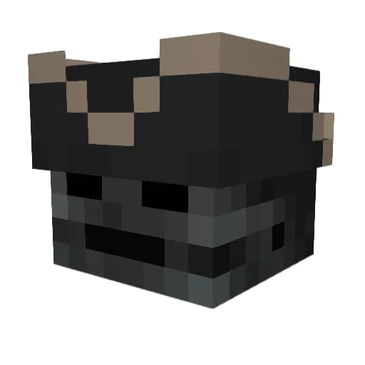 Minecraft-Avatar von JM_Peisang_101: Kopf als 3D-Render