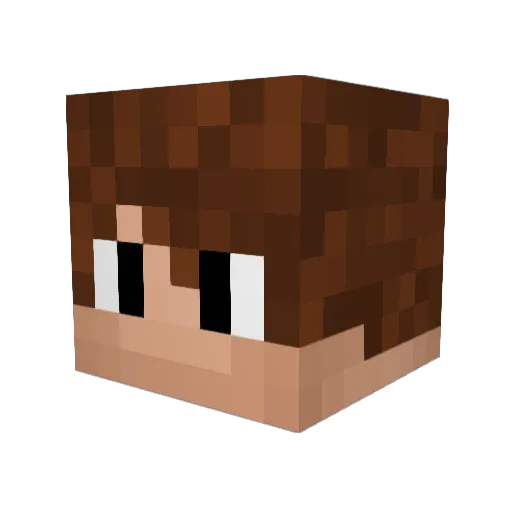 JMan98 Minecraft avatar head, 3D render