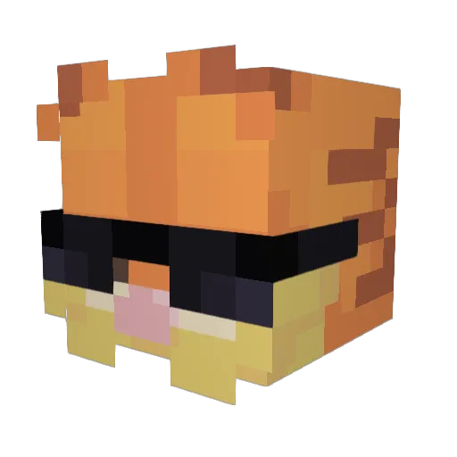JMoneyFanAccount Minecraft avatar head, 3D render