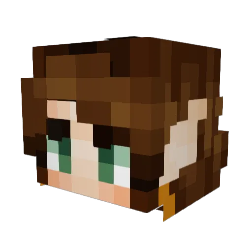 JNKsgrl Minecraft avatar head, 3D render