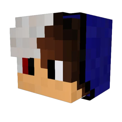 JNOMAD Minecraft avatar head, 3D render