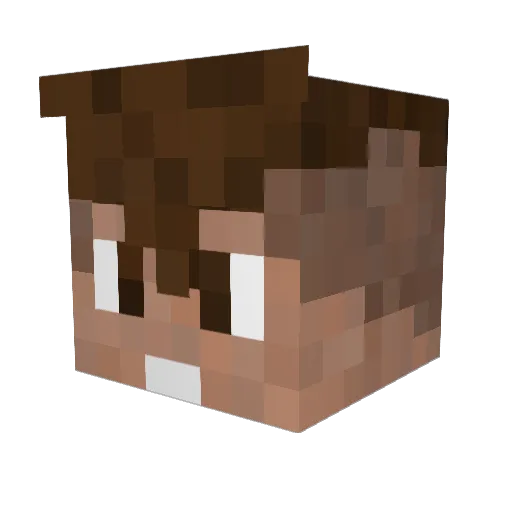 JNet0 Minecraft avatar head, 3D render