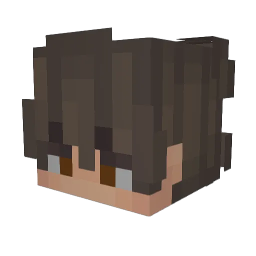 JOAKOOO_5050 Minecraft avatar head, 3D render