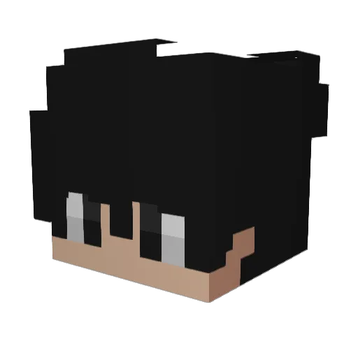 JOAOREVIEWS Minecraft avatar head, 3D render