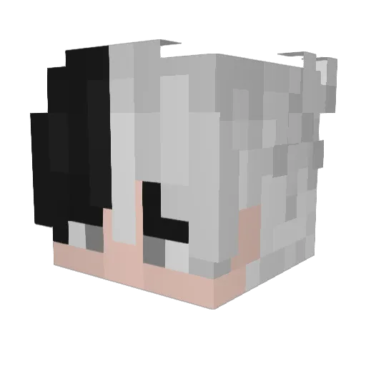 JOEBOTMAN Minecraft avatar head, 3D render