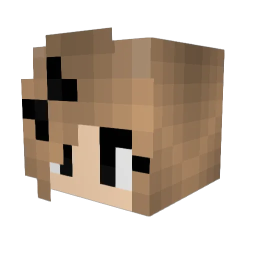 JOELPVPPRO Minecraft avatar head, 3D render