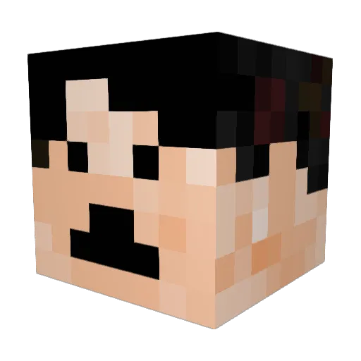 JOEYJOEBOO Minecraft avatar head, 3D render