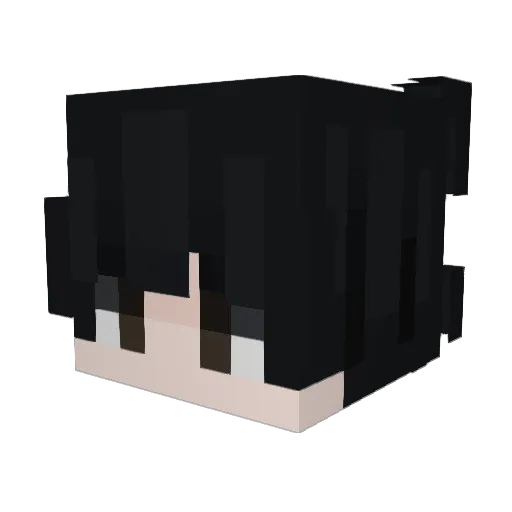 JOHNNYZOOKY Minecraft avatar head, 3D render